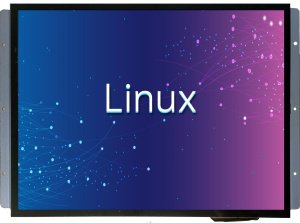 DMG10768T150_40WTC DWIN 15" Linux ЖК-дисплей 1024*768 промышленного класса с сенсорной ёмкостной панелью